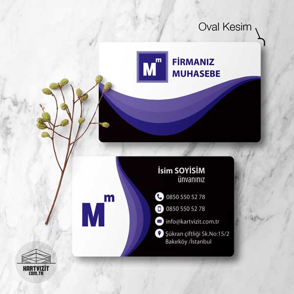 Mali Müşavir Kartvizit Siyah Mavi Modern 
