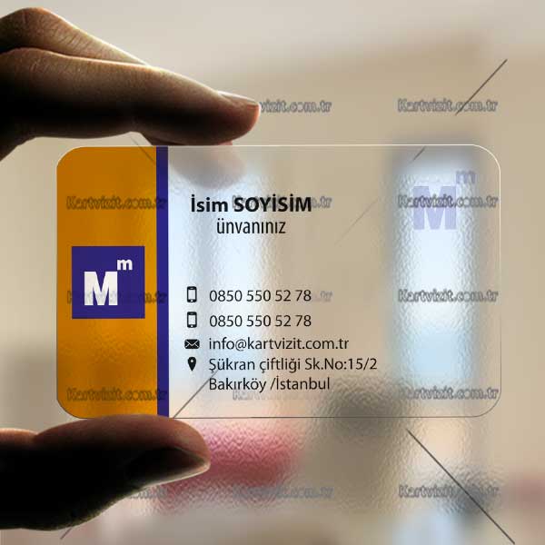 Muhasebeci Şeffaf Kartvizit Turuncu Mavi