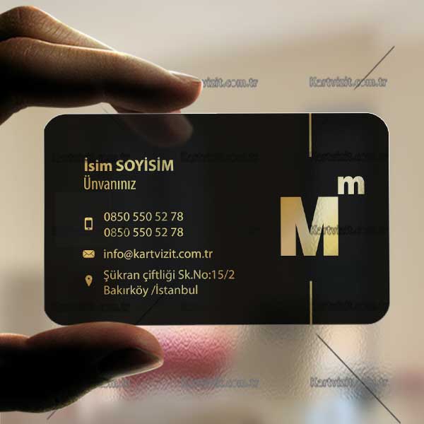  Muhasebeci Şeffaf Kartvizit Mavi Turuncu