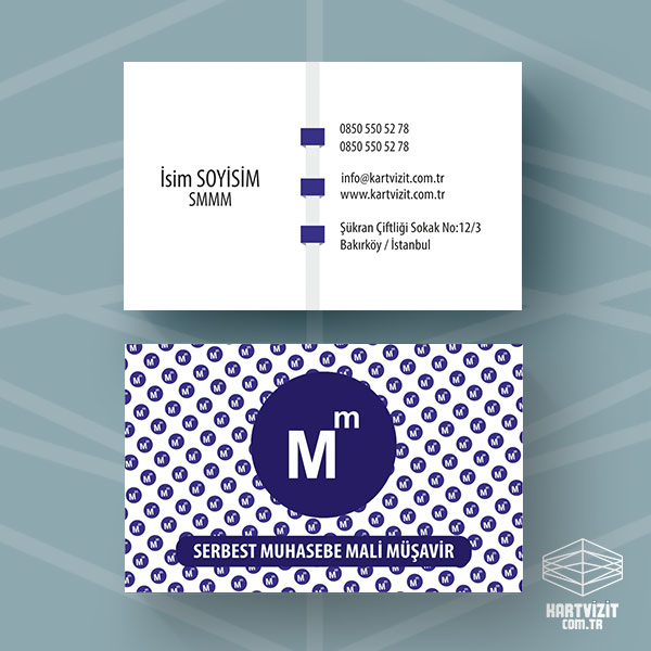  Muhasebeci Kartvizit Asimetrik