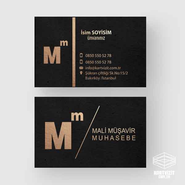 Yaldız Kartvizit Muhasebeci Siyah