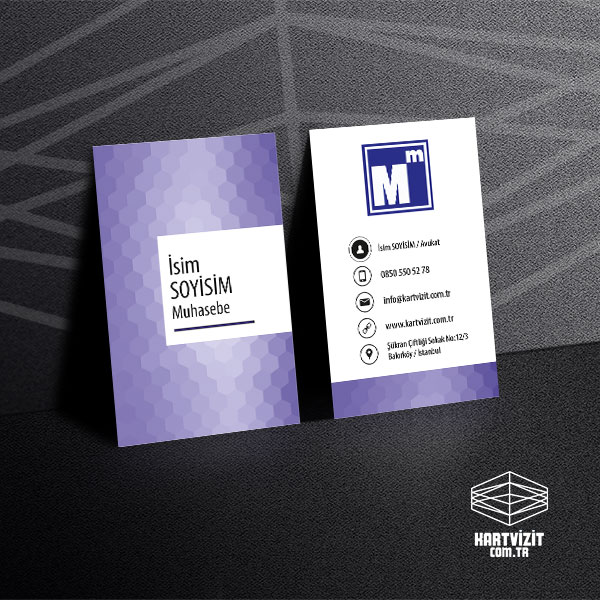  Muhasebeci Kartvizit Lüks Görünümlü Çift Yön